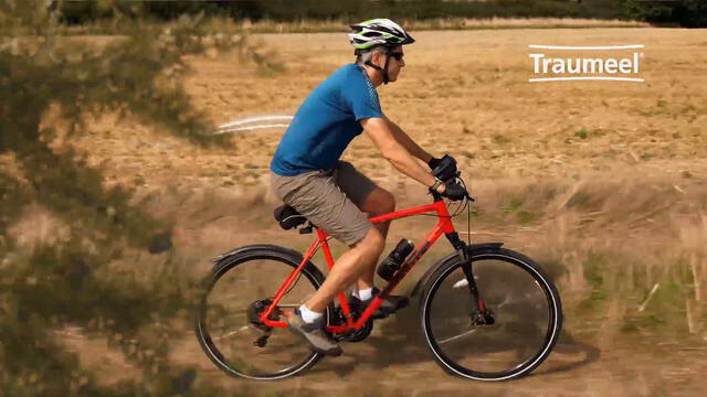 Traumeel® S Ampullen