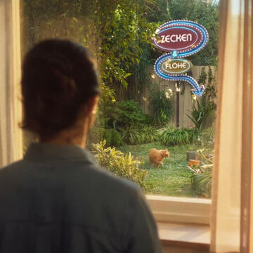 FRONTLINE COMBO® Spot on gegen Flöhe und Zecken Katze