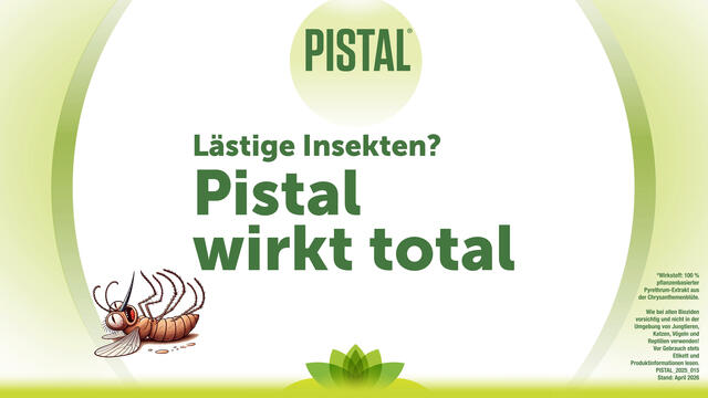 Pistal® Gelsenstecker geruchlos