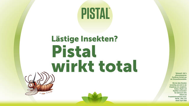 Pistal® Gelsenstecker Nachfüllung geruchlos