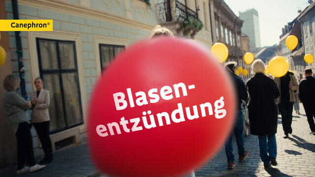 Canephron® Uno bei Blasenentzündung – mit 4-fach Wirkung