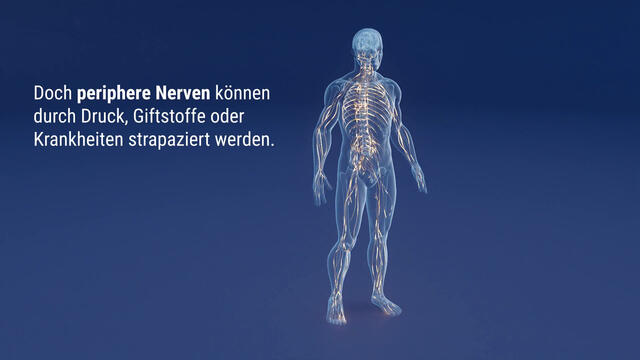 Keltican® forte Kapseln mit Uridinmonophosphat (UMP), Vitamin B12 und Folsäure zur Unterstützung der Nervenregeneration