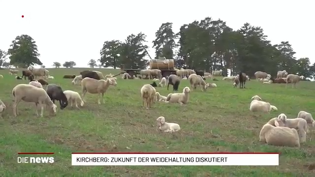 Kirchberg/Jagst: Weidehaltung im Fokus