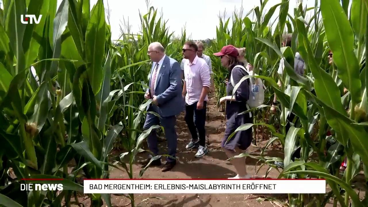 Bad Mergentheim: Erlebnis-Maislabyrinth eröffnet