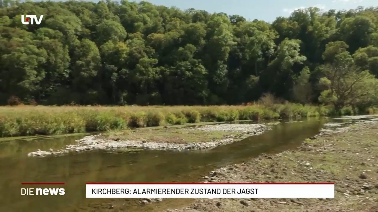 Kirchberg: Hitze setzt Fischen in der Jagst zu