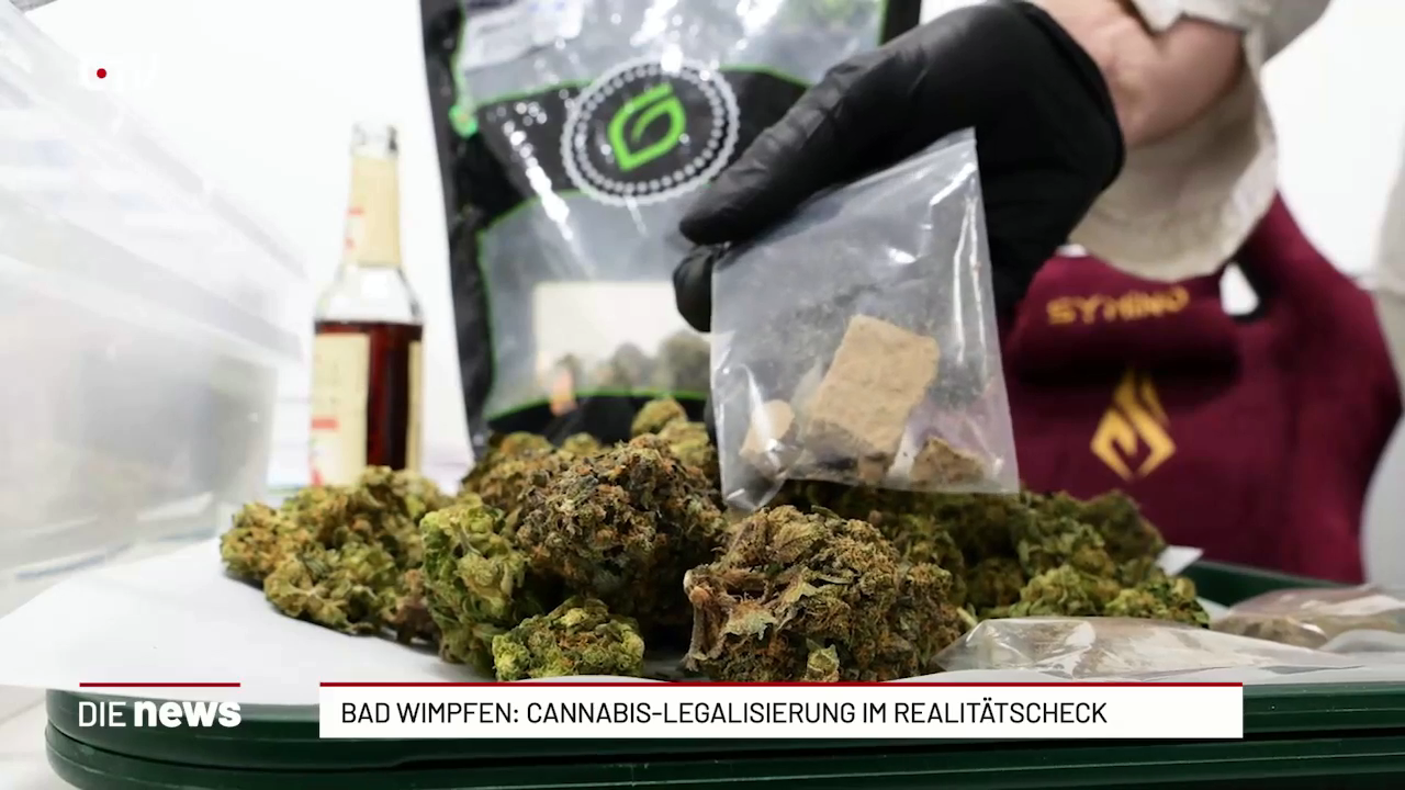 Bad Wimpfen: Cannabis Social Club wächst trotz strenger Regeln