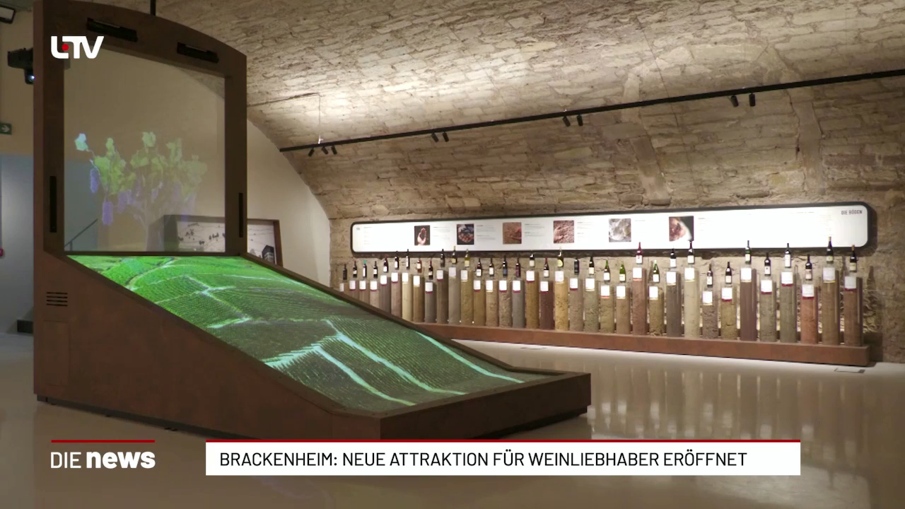 Brackenheim: Deutsche Weinwelt öffnet ihre Türen