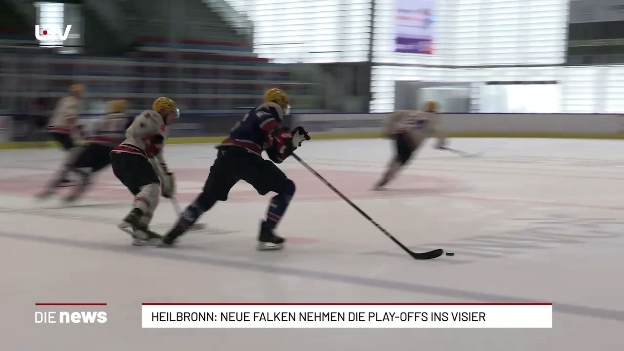 Heilbronn: Neue Falken nehmen die Play-offs ins Visier